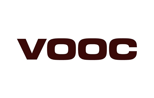 Integration with wholesale dropshipping VOOC